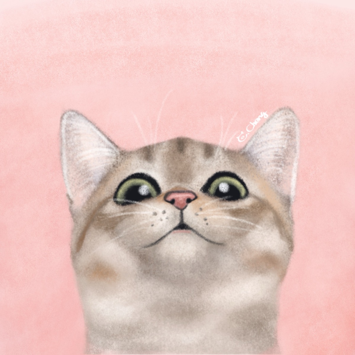寵物大頭照插畫