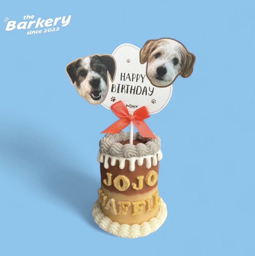 生日蛋糕 the Barkery 聯名